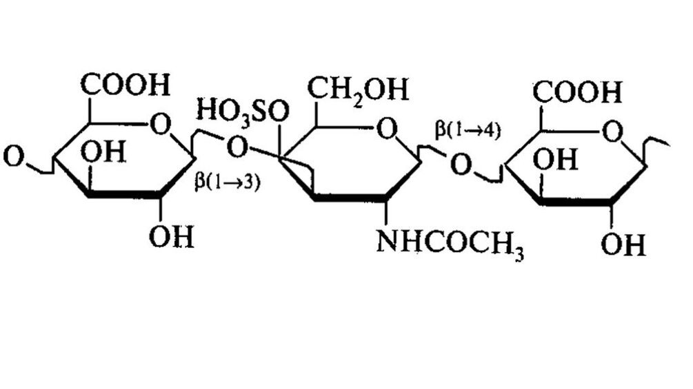 Chondroitin w OstyHealth