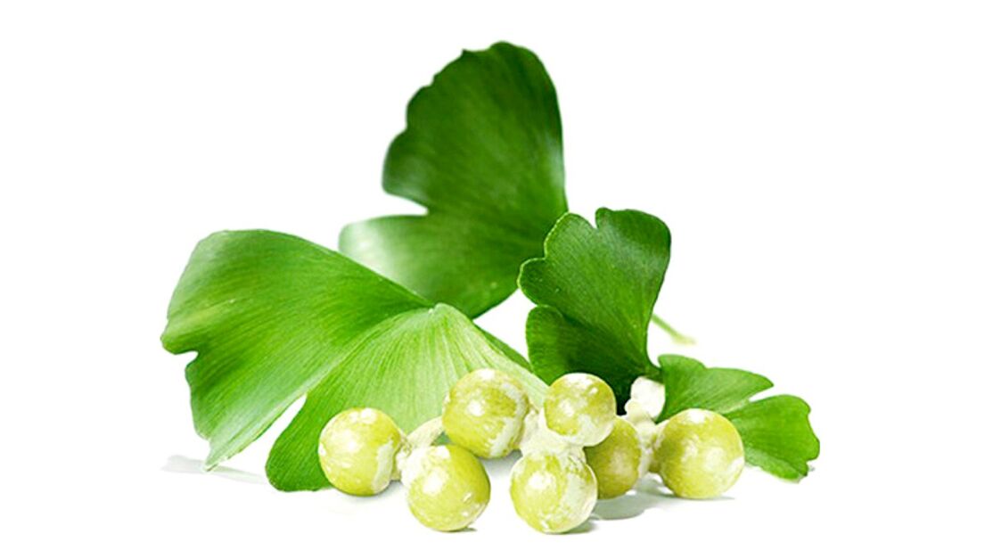 Ginkgo Bilobe w OstyHealth