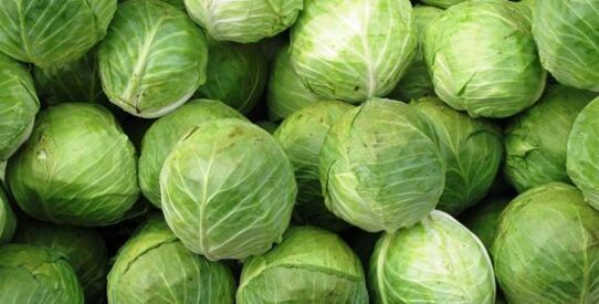 kapusta na kompres na artrozę stawu kolanowego